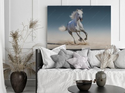 Obraz na płótnie Biały koń w galopie