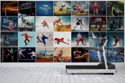 Fototapeta Kolaż ze zdjęć 29 dyscyplin sportu