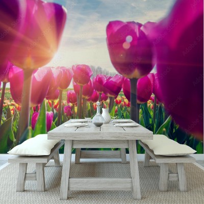 Fototapeta Piękny wiosenny krajobraz z tulipanami