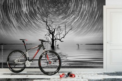 Fototapeta Samotne drzewo wśród gwiazd