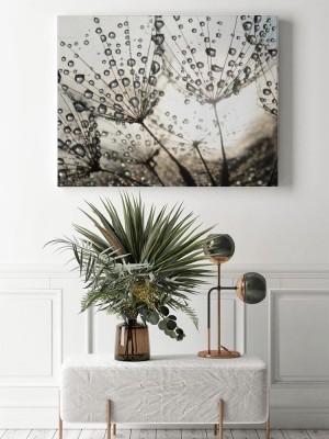 Obrazy do salonu Dmuchawiec z kroplami rosy