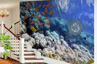 Fototapeta Tropikalna ryba i twarde koralowce w Morzu Czerwonym