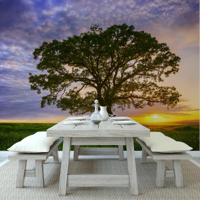 Fototapeta Duże zielone drzewo w polu