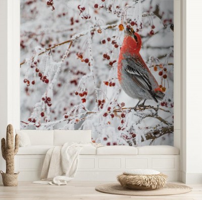 ptak-pine-grosbeak-karmiacy-sie-jagodami-w-zimie