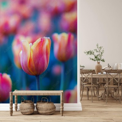 Fototapeta Wertykalny kadr pięknego tulipana