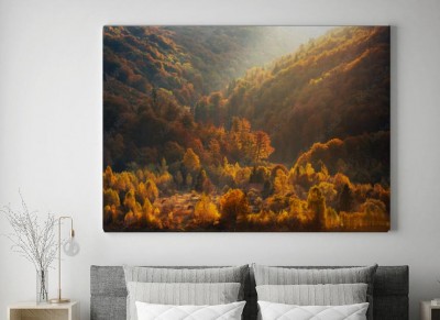 Obrazy do salonu Las o zachodzie słońca późną jesienią