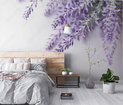 Fototapeta Kwiat lawendy