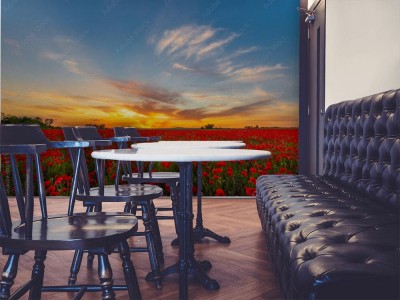 Fototapeta Plantacja maków