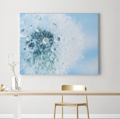 Obrazy do salonu Dmuchawiec w makro fotografii