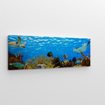 podwodna-panorama-tropikalnej-rafy-na-karaibach