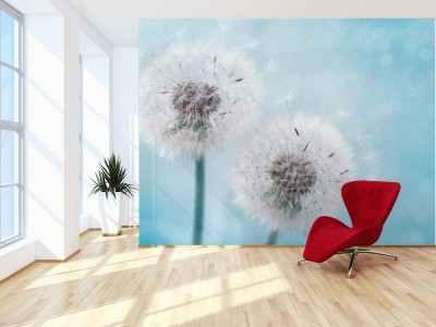 Fototapeta Dwa dmuchawce z latającymi piórkami na błękitnym tle