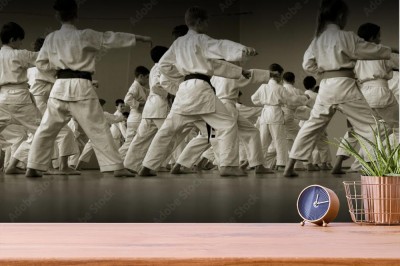 kurs-karate