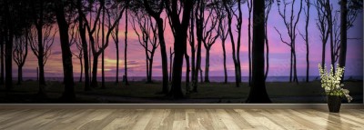 Fototapeta Piękne niebo widoczne przez las