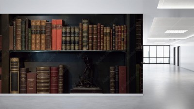 Fototapeta Półka z antykami i rzadkimi książkami