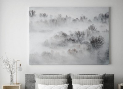 Obraz na płótnie Przebudzenie - wschód słońca nad mglistym lasem