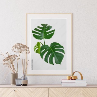 modny-wzor-monstera