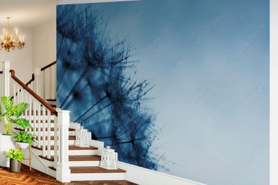 Fototapeta Abstrakcyjna fotografia mniszka lekarskiego w skali makro