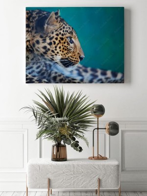 Obraz na płótnie Lampart