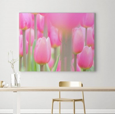 Obraz na płótnie Różowe tulipany na zielonym tle