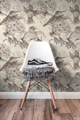 Fototapeta Vintage - Koliber 