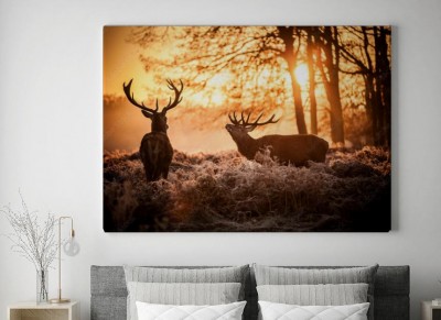 Obrazy do salonu Jelenie na rykowisku