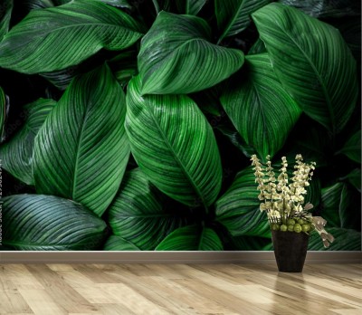 Fototapeta Tropikalny maksymalizm z ciemno zielonymi liśćmi