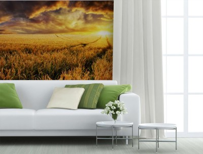 Fototapeta Zmierzch na polu, ostrość na przedpolu