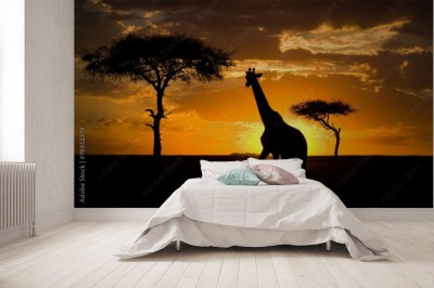 Fototapeta Żyrafa w sawannie na tle zachodzącego słońca