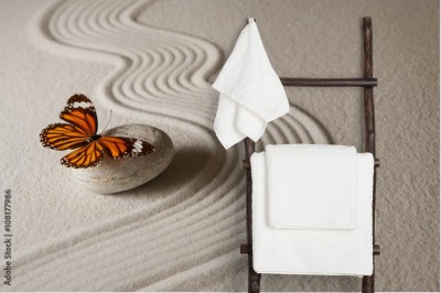 Fototapeta Motyl Zen