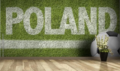 Fototapeta Polska piłka na boisku piłkarskim