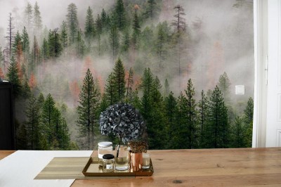 Fototapeta Yosemite we mgle