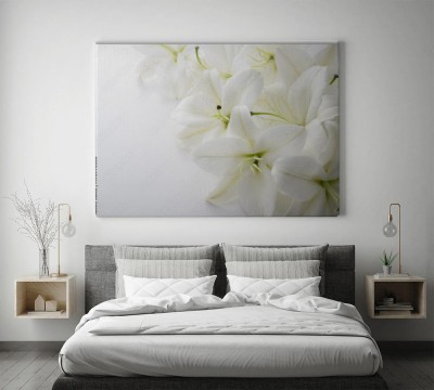 Obraz na płótnie Biała lilia na białym tle