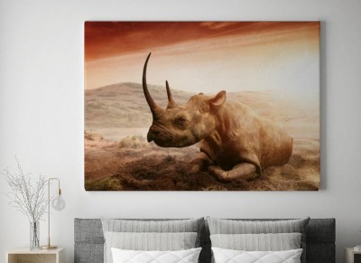 Obrazy do salonu Nosorożec w Serengeti w Tanzanii w Afryce