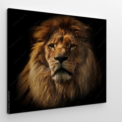 Obraz na płótnie Portret lwa z bogatą grzywą na czarnym tle