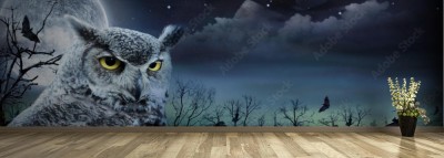 Fototapeta Halloweenowa scena z Sową i księżycem w pełni