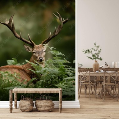 Fototapeta Jeleń w gęstwinie