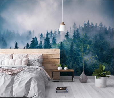 Fototapeta Mglisty krajobraz górski z lasem świerkowym