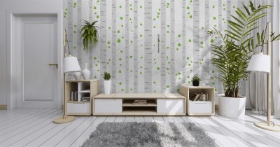 Fototapeta z motywem lasu brzozowego i spadających liści