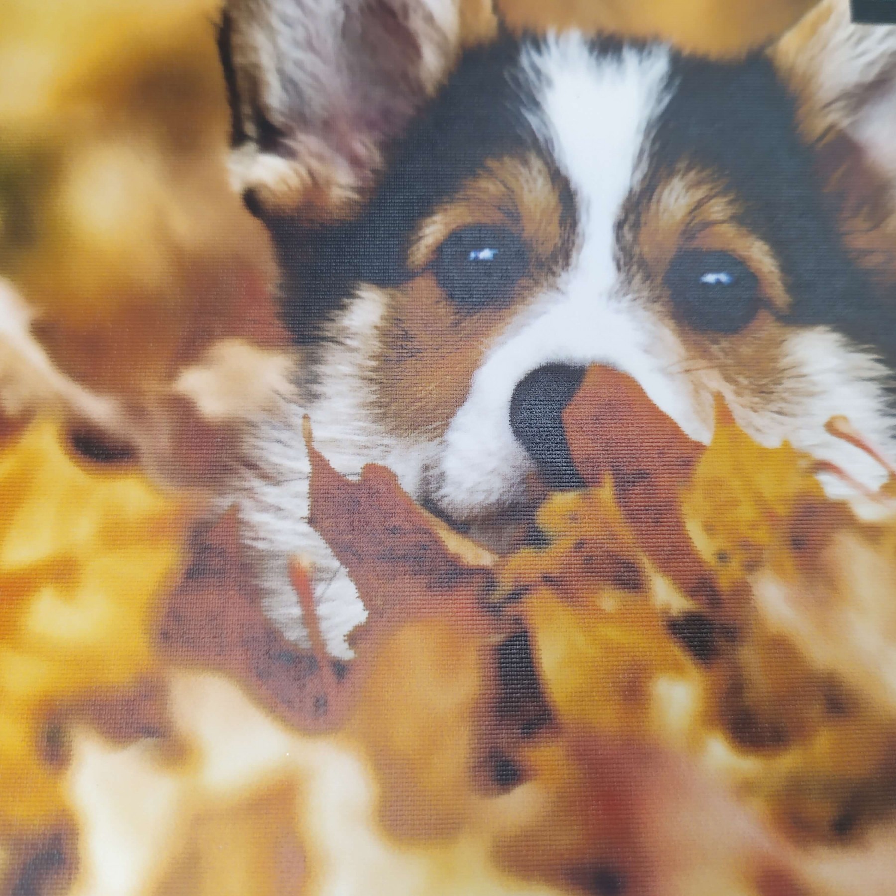 fototapeta samoprzylepna o delikatnej strukturze lnu