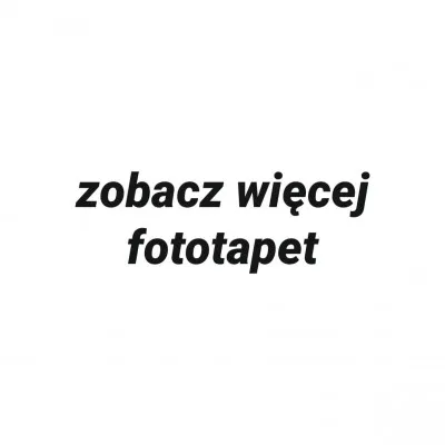 Zobacz modne fototapety