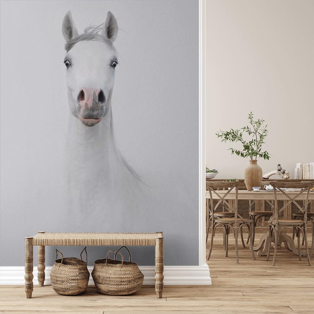 Fototapeta ze zwierzętami w kategorii Konie